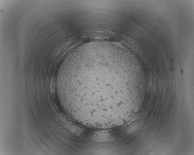 X0000078290078200611251453