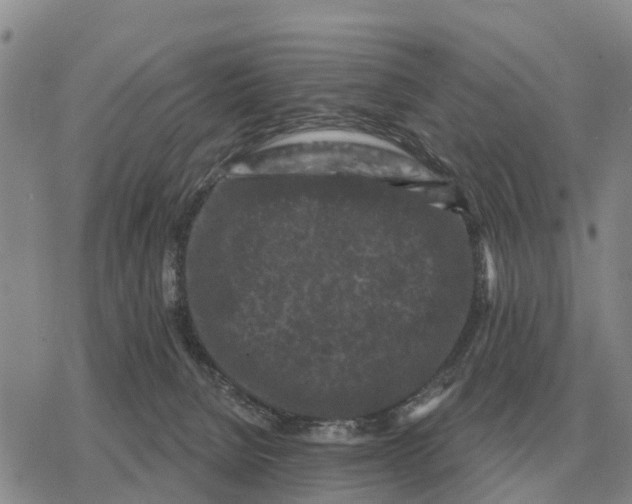 X0000078290080200611251454