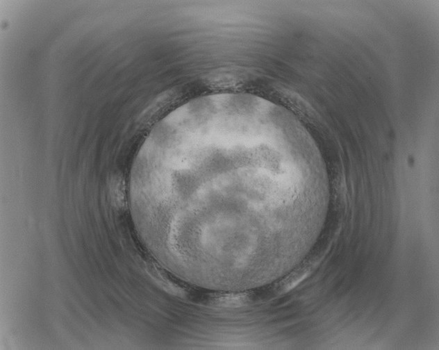 X0000078290081200611251454