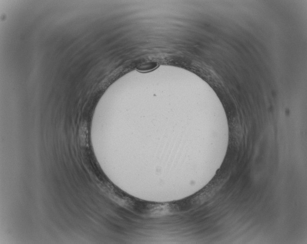 X0000078290083200611251454