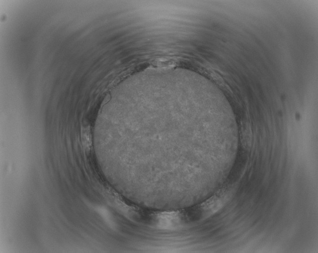 X0000078290085200611251454