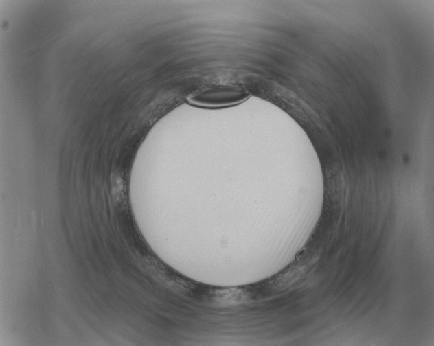 X0000078290087200611251454