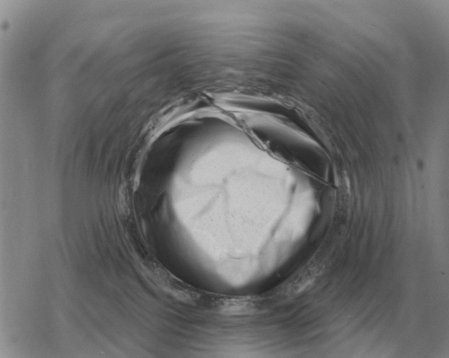 X0000078290088200611251454