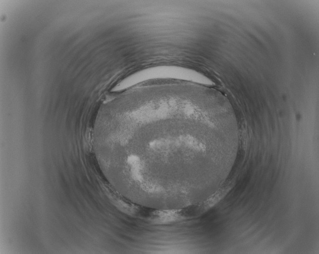 X0000078290093200611251454