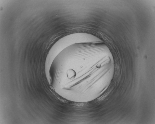 X0000078290096200611251454