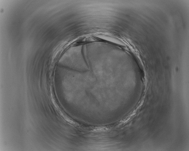 X0000078290097200611251453