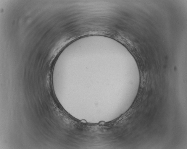 X0000078290098200611251453