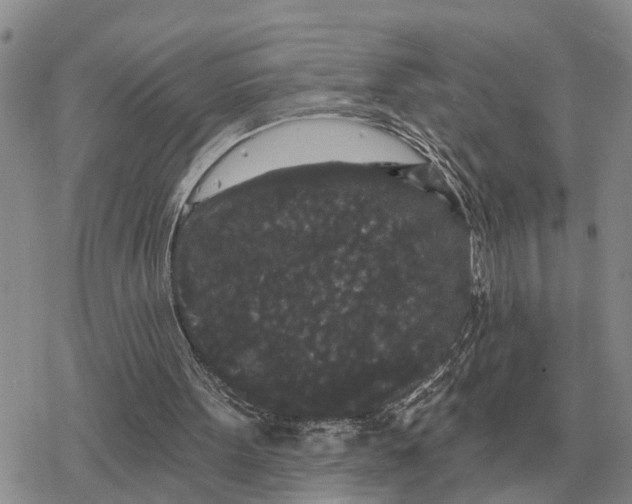 X0000078290099200611251453