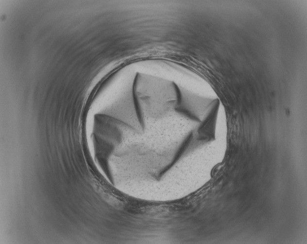 X0000078290100200611251453