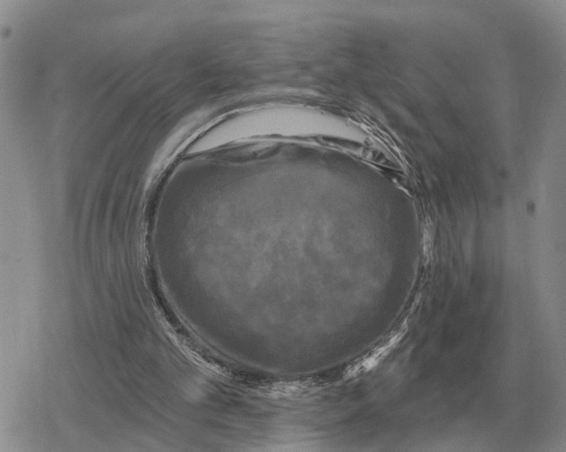 X0000078290101200611251453