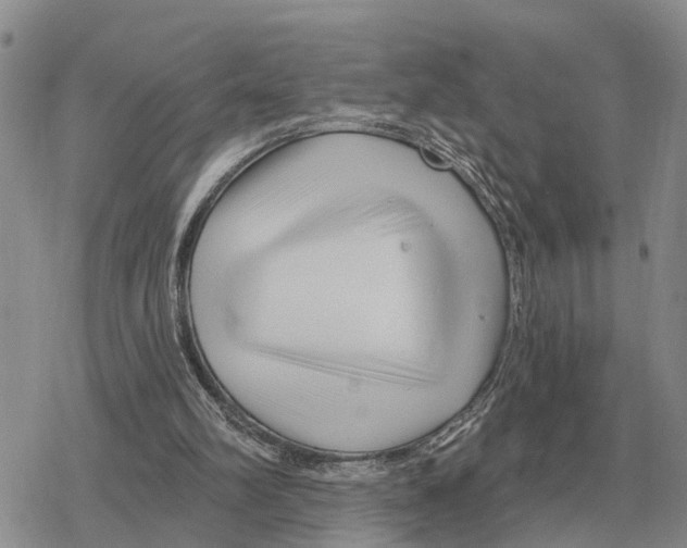 X0000078290102200611251453