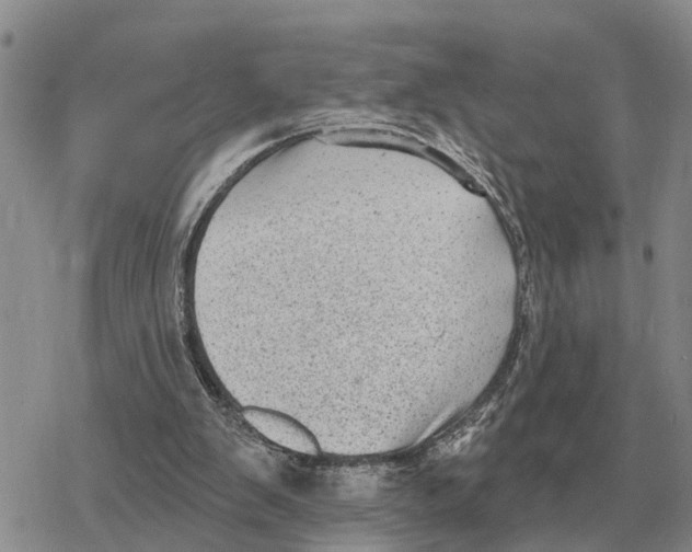 X0000078290103200611251453