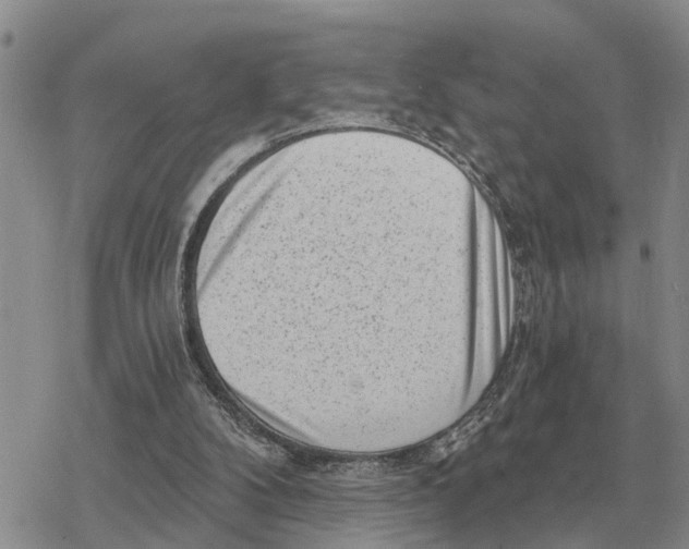 X0000078290104200611251453