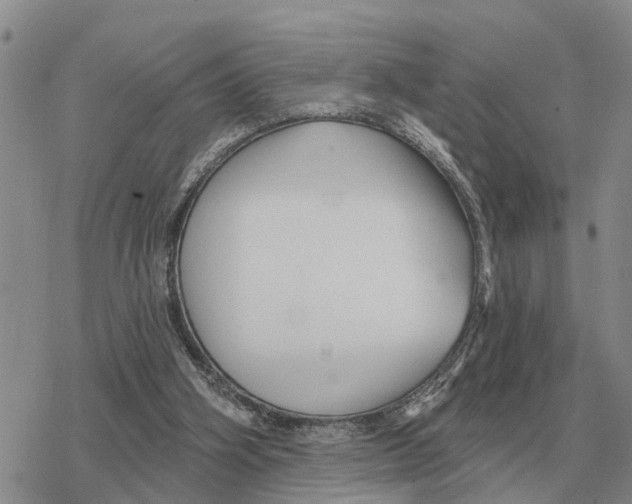 X0000078290106200611251453