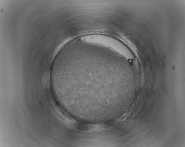 X0000078290107200611251453