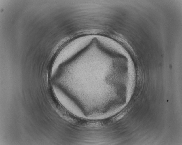 X0000078290110200611251453