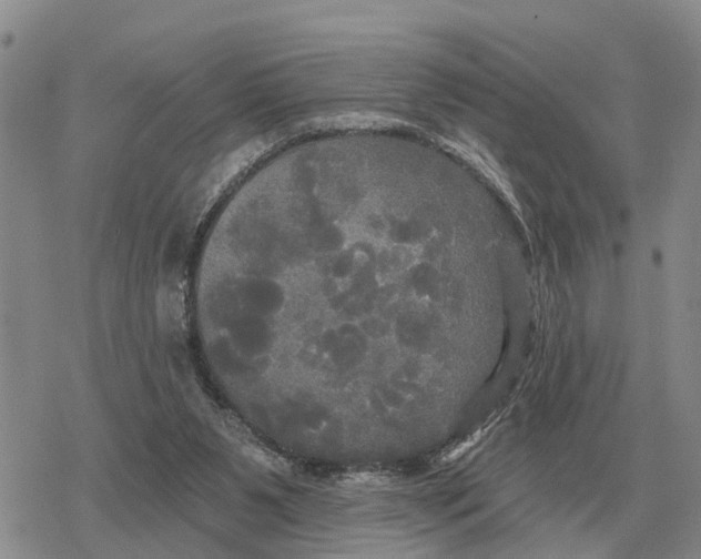 X0000078290111200611251453