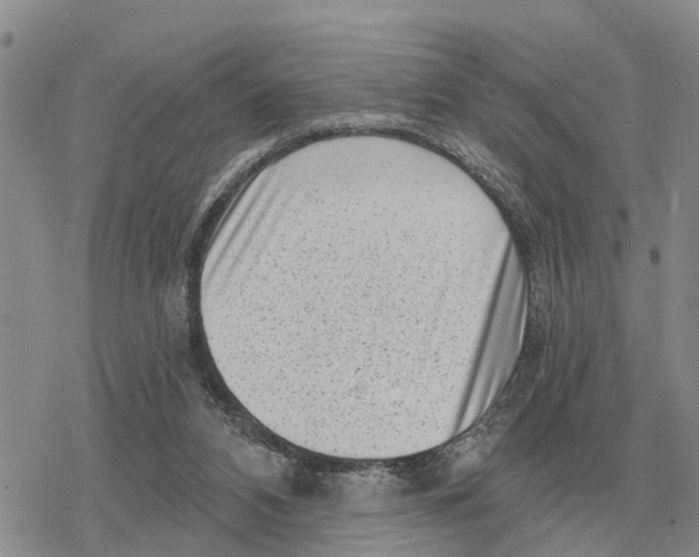 X0000078290112200611251453