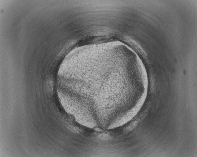 X0000078290113200611251453