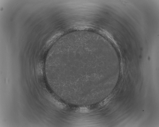 X0000078290114200611251453