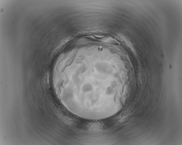 X0000078290115200611251453