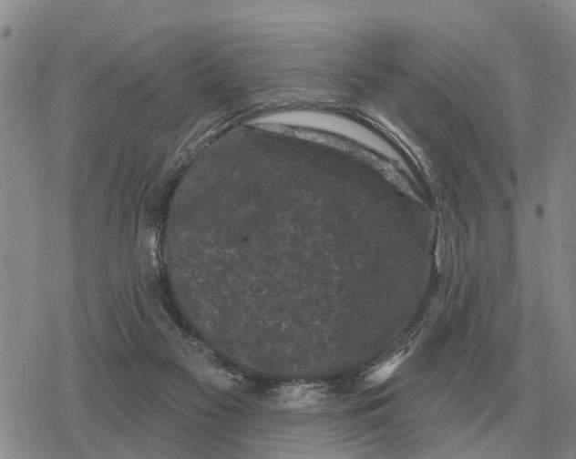 X0000078290117200611251453