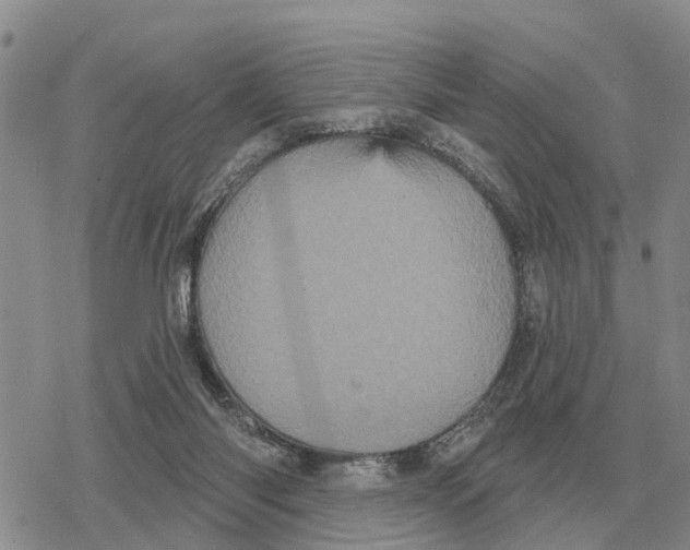 X0000078290118200611251453