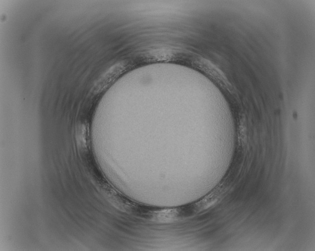 X0000078290122200611251453