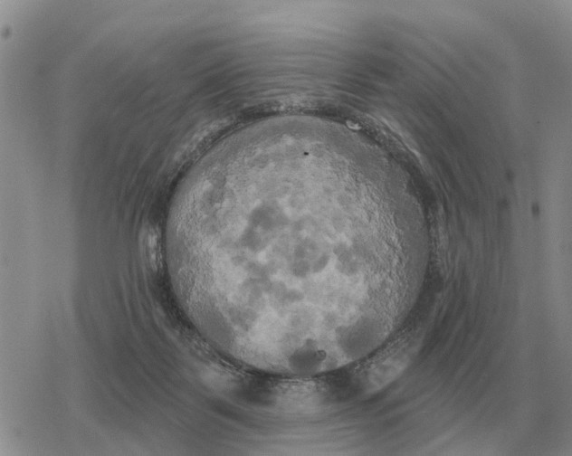 X0000078290123200611251453