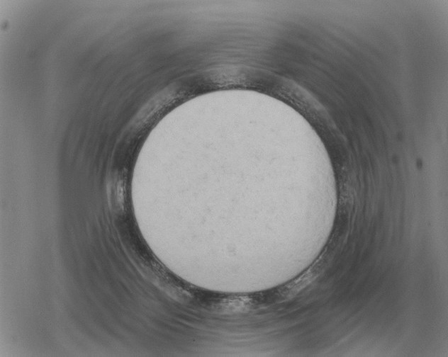 X0000078290124200611251453