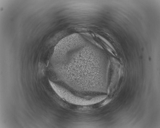 X0000078290125200611251453