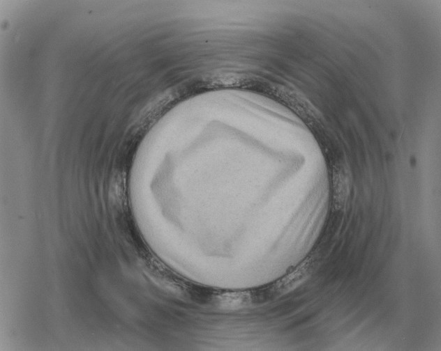 X0000078290126200611251453