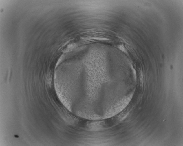 X0000078290129200611251452