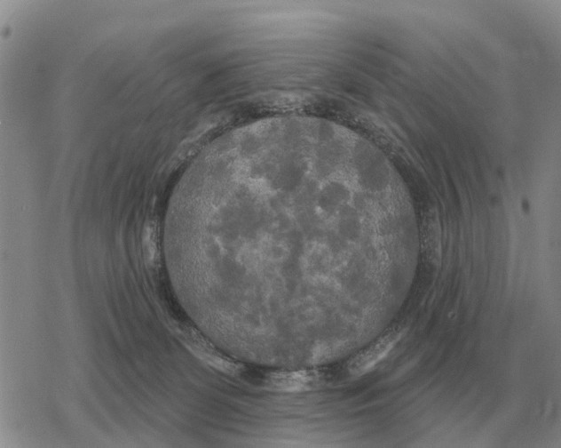 X0000078290131200611251452