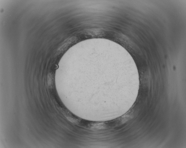 X0000078290132200611251452