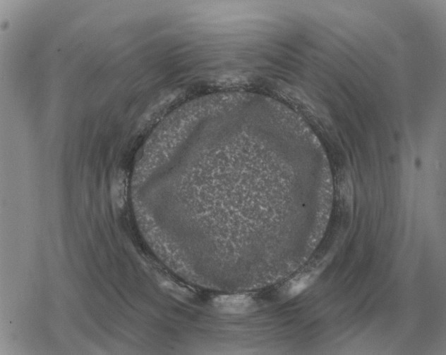 X0000078290133200611251452