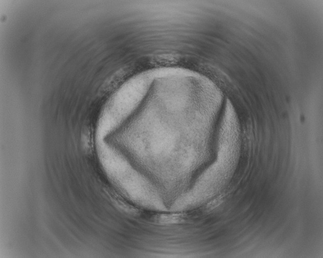 X0000078290134200611251452