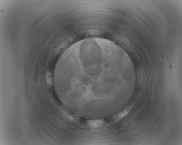 X0000078290135200611251452