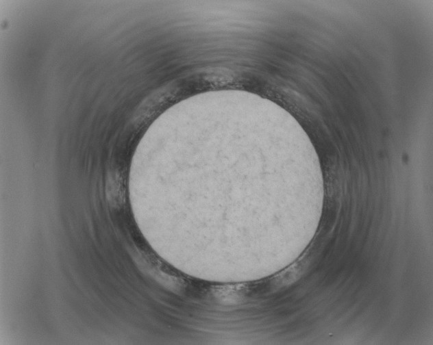 X0000078290136200611251452