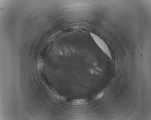 X0000078290137200611251452