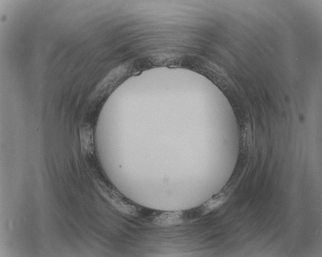 X0000078290138200611251452