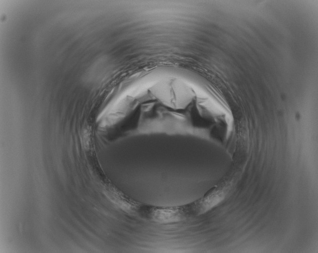 X0000078290139200611251452