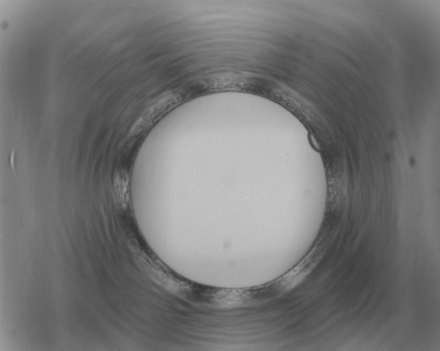 X0000078290142200611251452