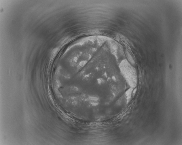 X0000078290145200611251451