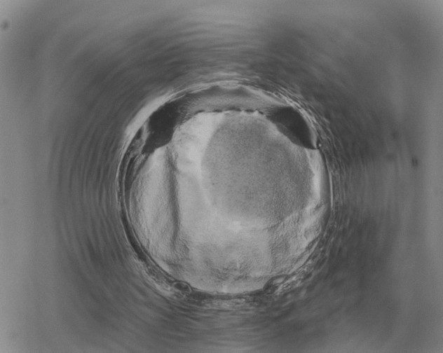 X0000078290147200611251451