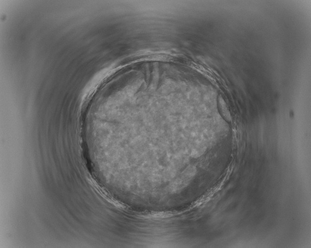 X0000078290149200611251452