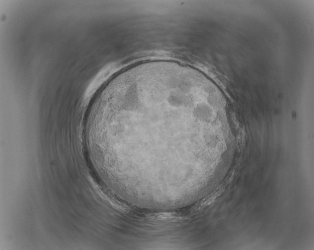 X0000078290151200611251452