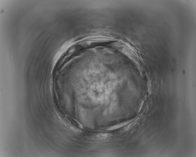 X0000078290152200611251452