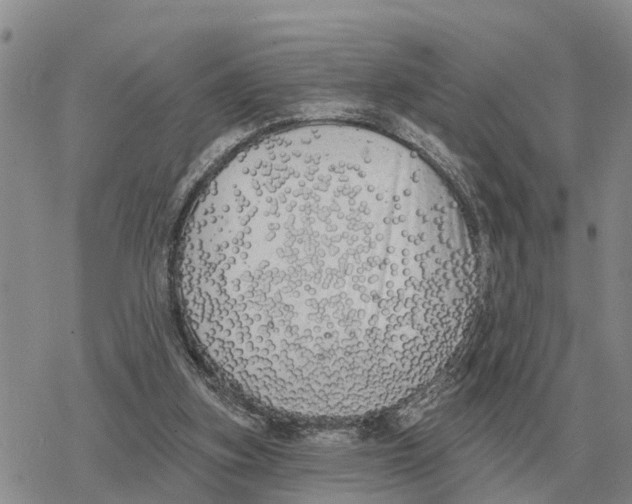 X0000078290155200611251452