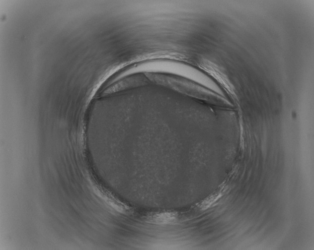 X0000078290156200611251452